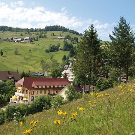 Gruener Baum Naturparkhotel & Schwarzwald-Restaurant Todtnau Ngoại thất bức ảnh