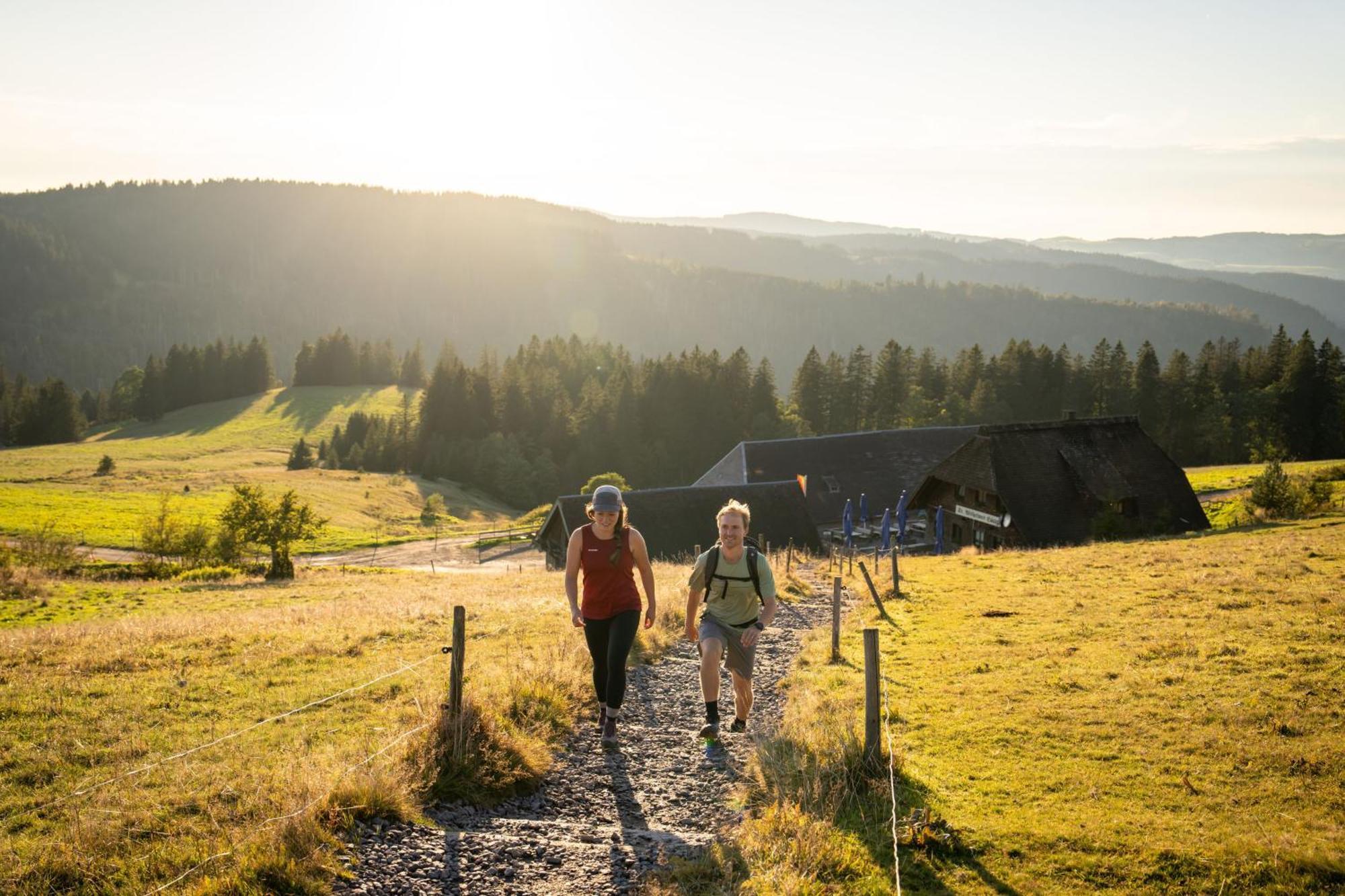 Gruener Baum Naturparkhotel & Schwarzwald-Restaurant Todtnau Ngoại thất bức ảnh