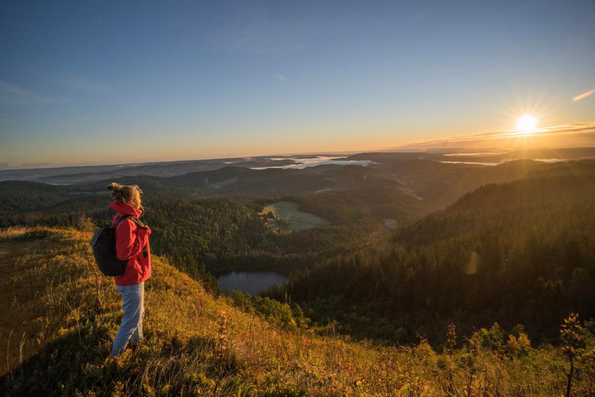 Gruener Baum Naturparkhotel & Schwarzwald-Restaurant Todtnau Ngoại thất bức ảnh